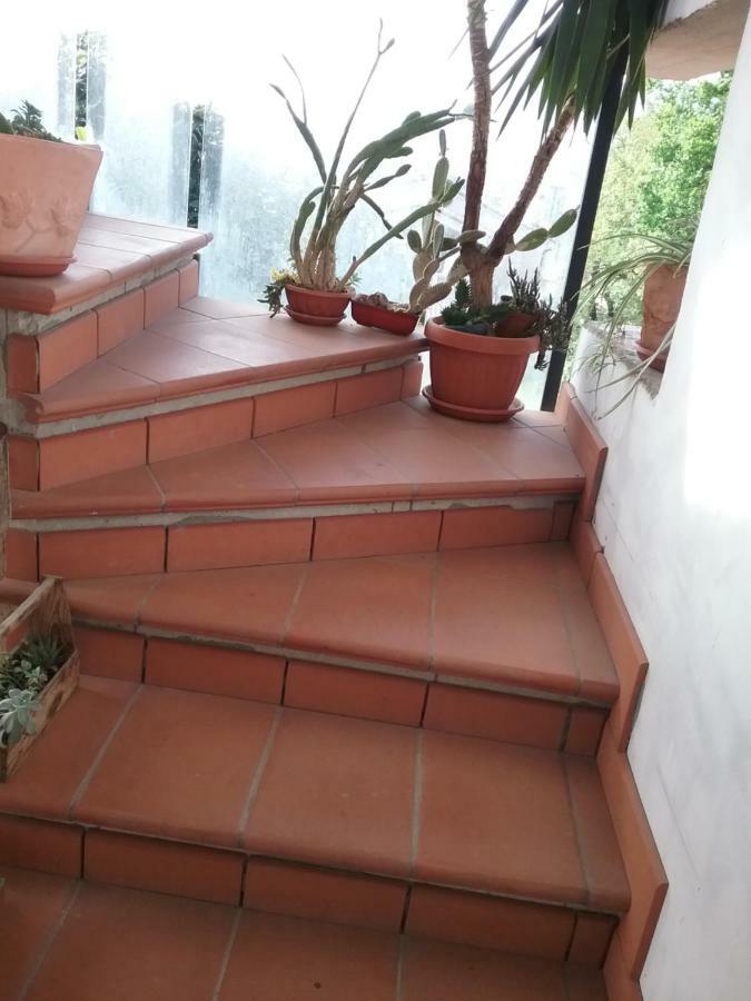 Appartamento Relax Terni Exteriör bild