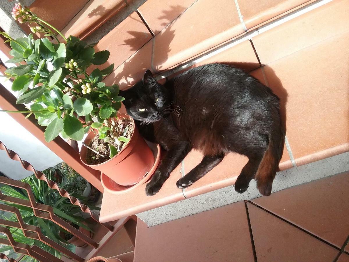 Appartamento Relax Terni Exteriör bild
